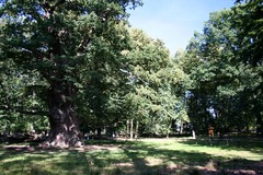 Killikus&reg; Fotographie